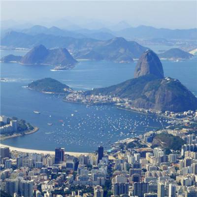 巴西今年以来登革热病例数超400万例